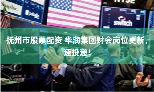 抚州市股票配资 华润集团财会岗位更新，速投递！